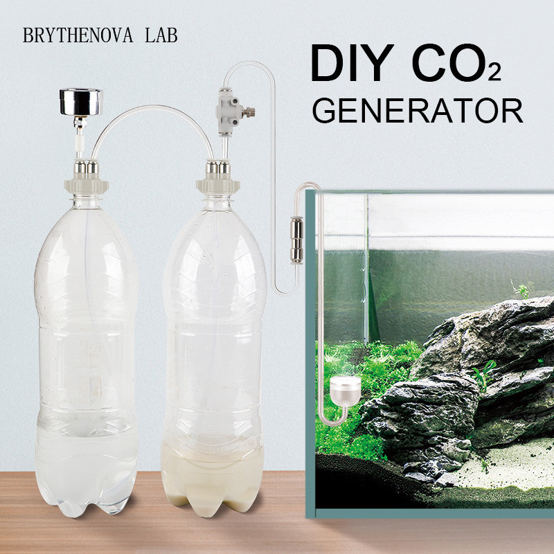 Aquarium Moss - Générateur de CO2 pour aquarium planté,