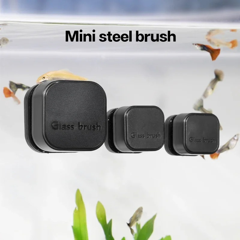 Planted Aquarium Cleaning - Mini brosse magnétique carrée pour Aquarium,