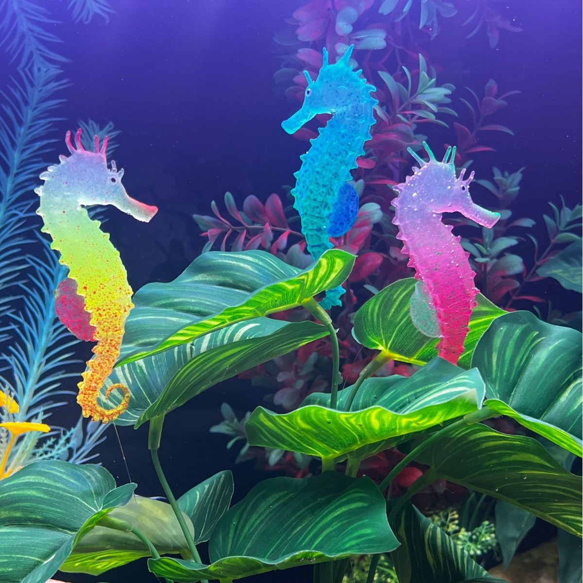 Aquarium Plant Substrate - Décoration de poisson-hippocampe lumineux simulé pour