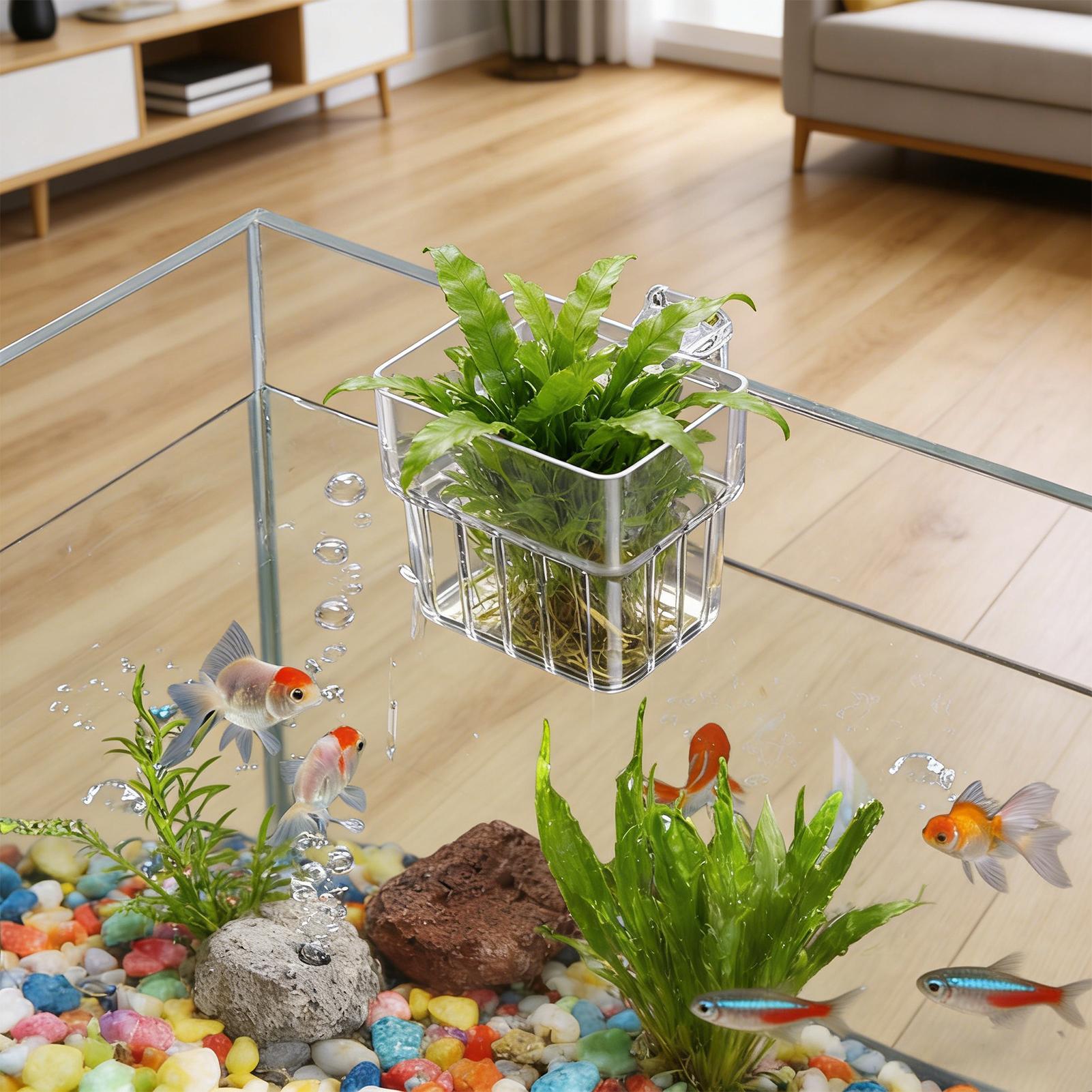Aquarium Plants Live - Panier fixe pour aquarium, paniers suspendus