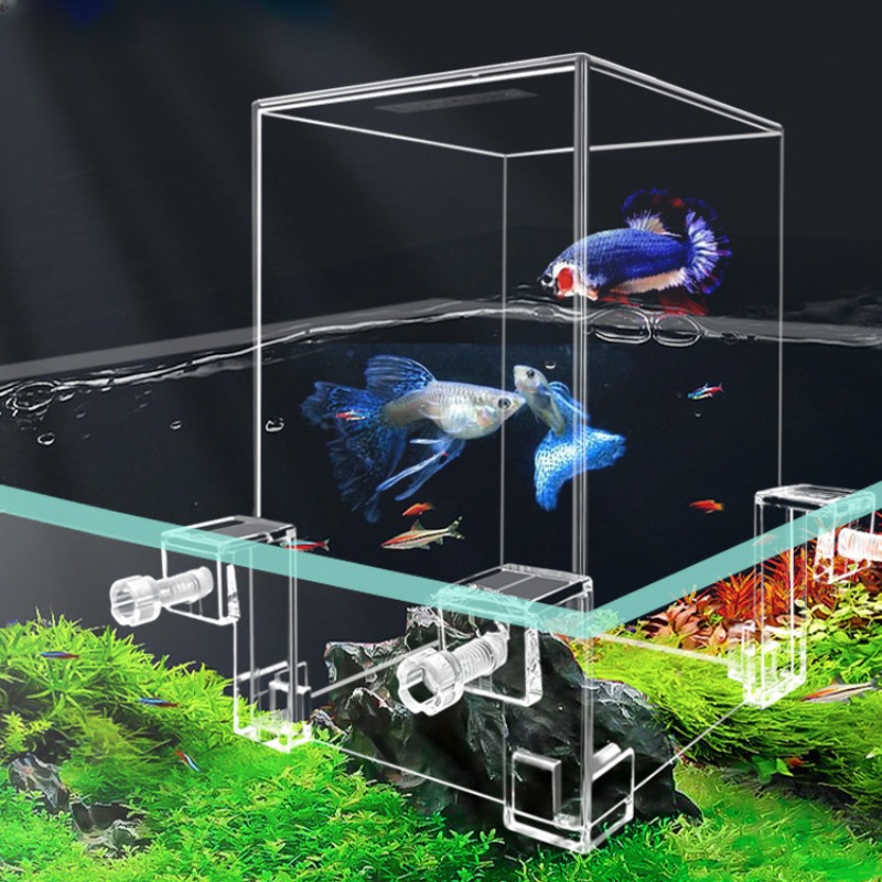 Plant Aquarium Pot - Aquarium à pression négative avec bol