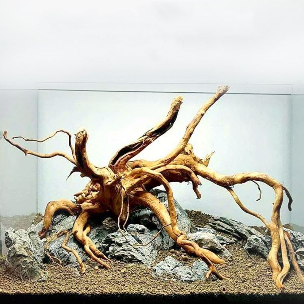 Aquarium Driftwood - Bois flotté naturel de 20-25 cm