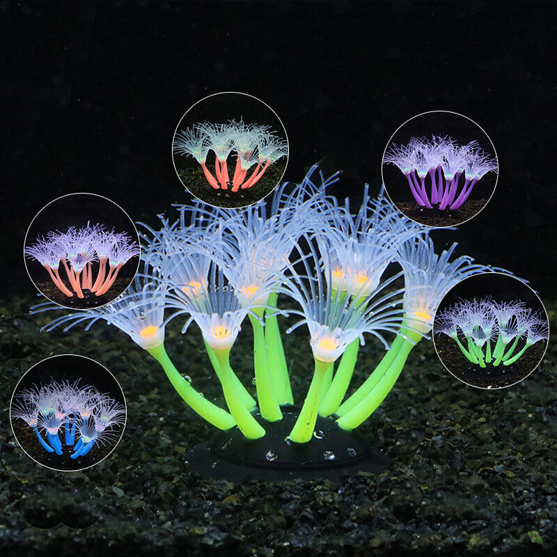 Décoration d'aquarium sous-mar - Live Plant Aquarium avis et prix