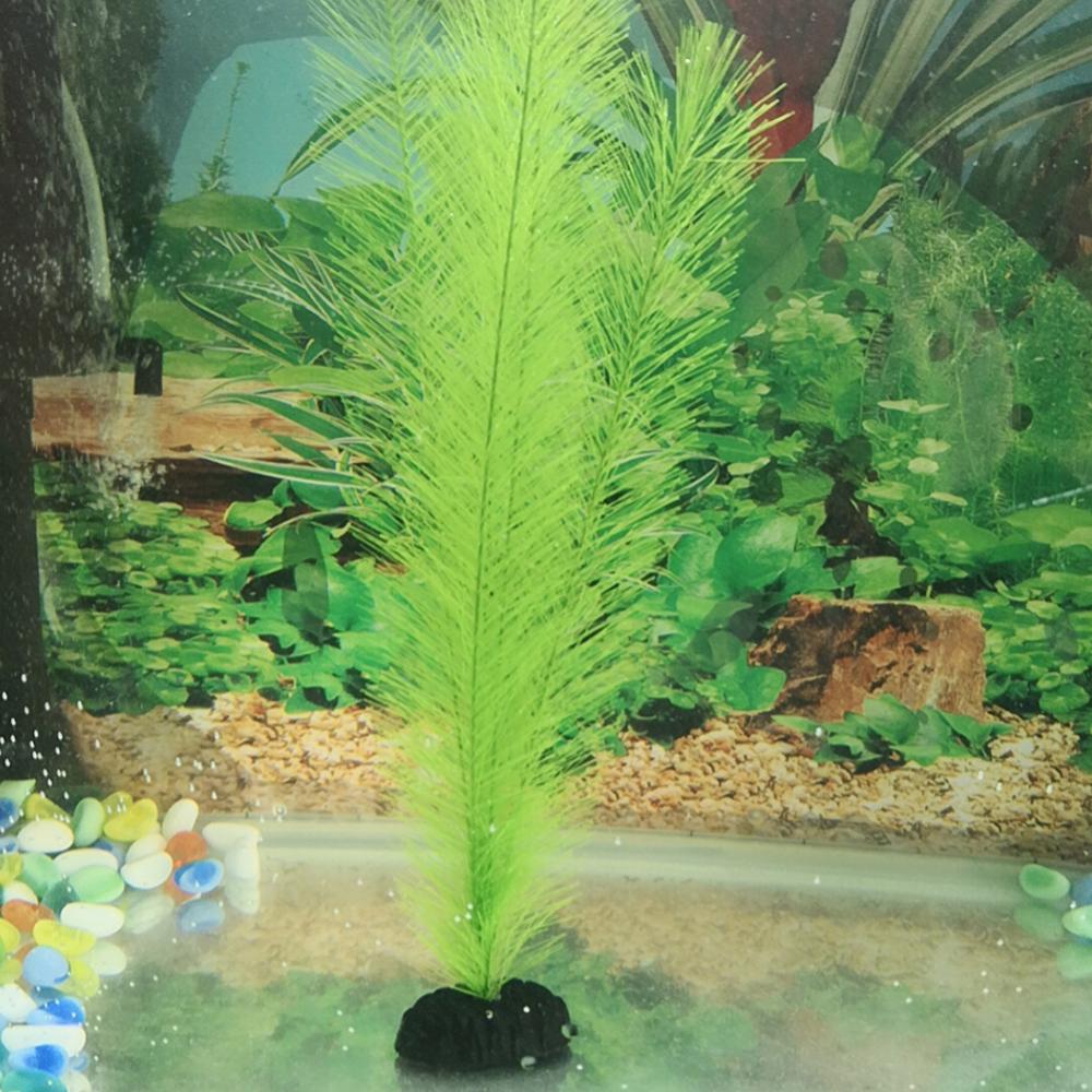 1/3 pièces 28/40cm Aquarium Aq - Live Plant Aquarium avis et prix