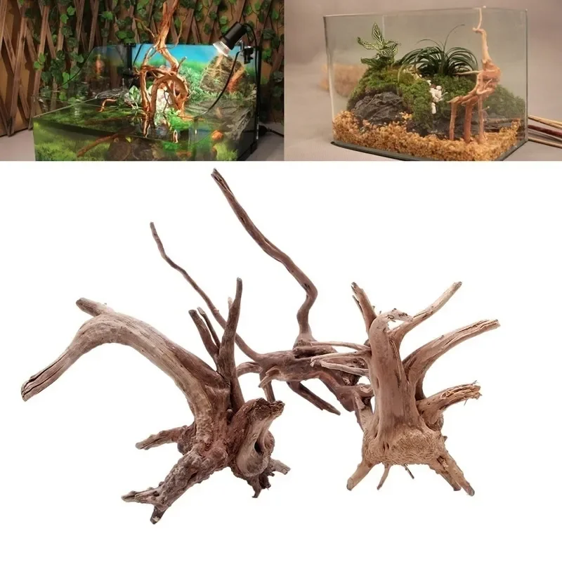 Tronc d'Arbre Naturel en Bois  - Live Plant Aquarium avis et prix