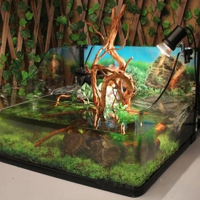 Tronc d'Arbre Naturel en Bois  - Live Plant Aquarium avis et prix