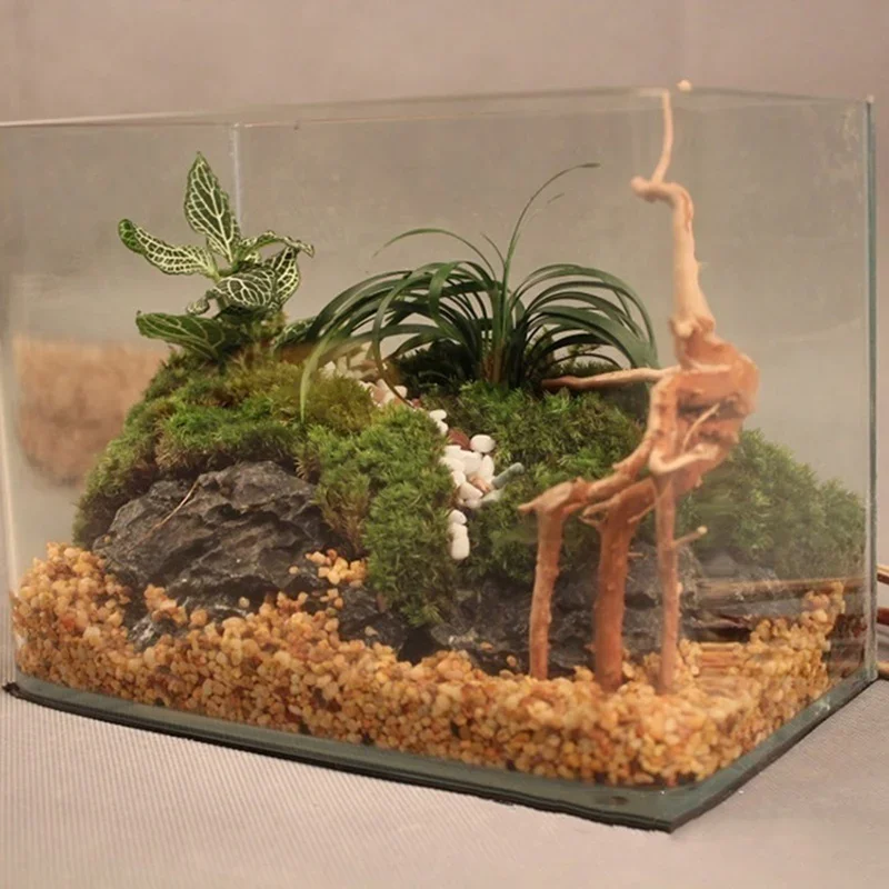 Tronc d'Arbre Naturel en Bois  - Live Plant Aquarium avis et prix