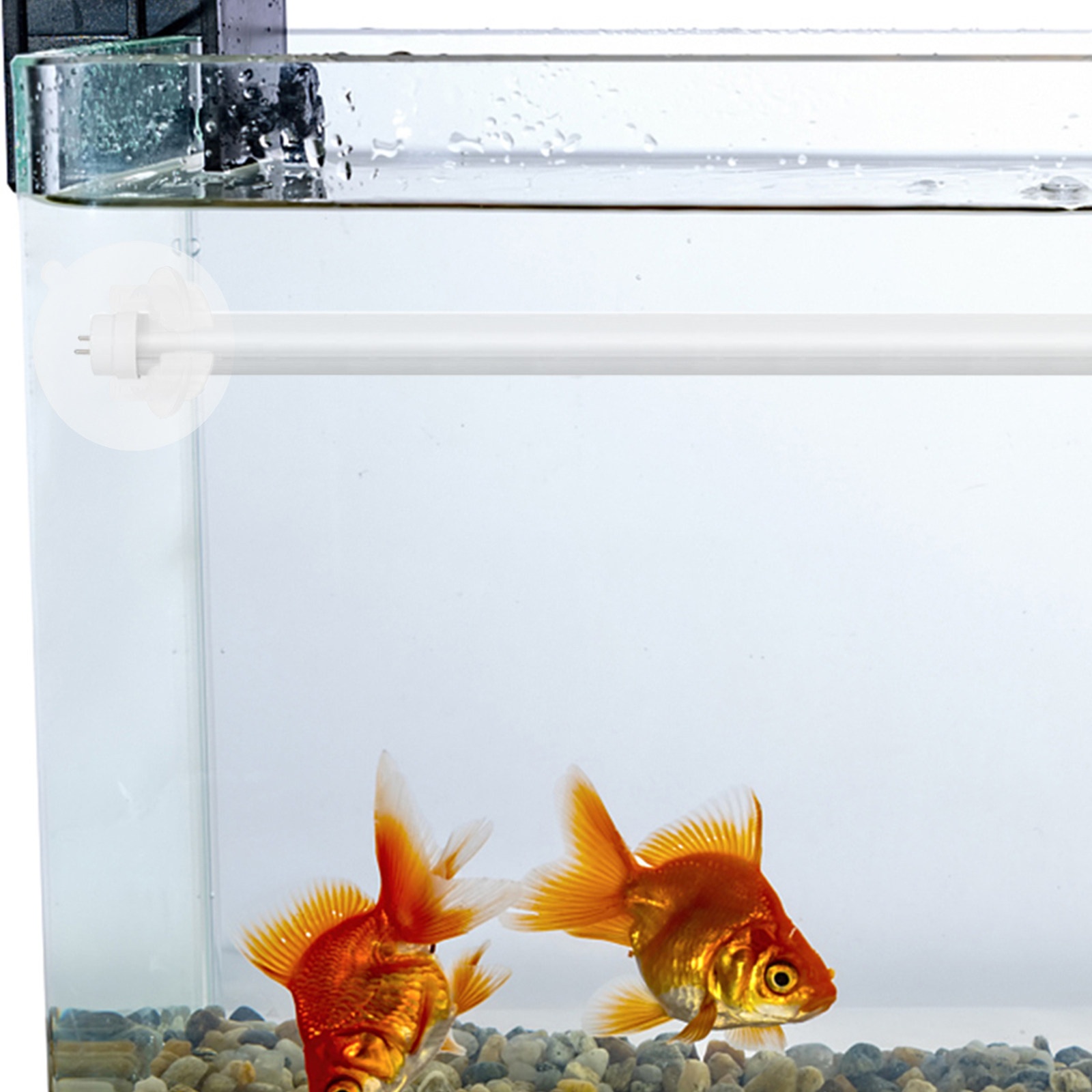 6 pièces, support en silicone  - Aquarium Plant Holder avis et prix