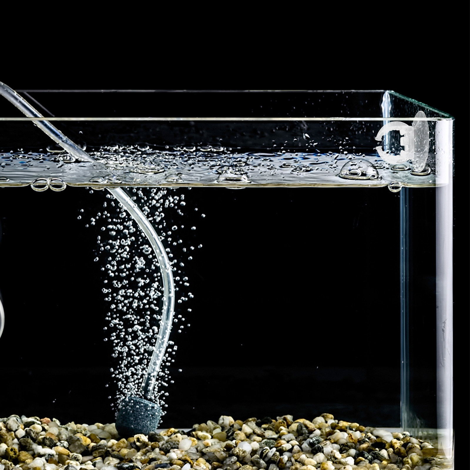 6 pièces, support en silicone  - Aquarium Plant Holder avis et prix
