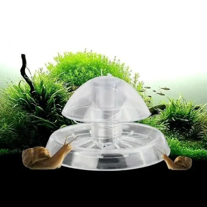 Nouvelle boîte piège à escargo - Planted Aquarium Cleaning avis et prix