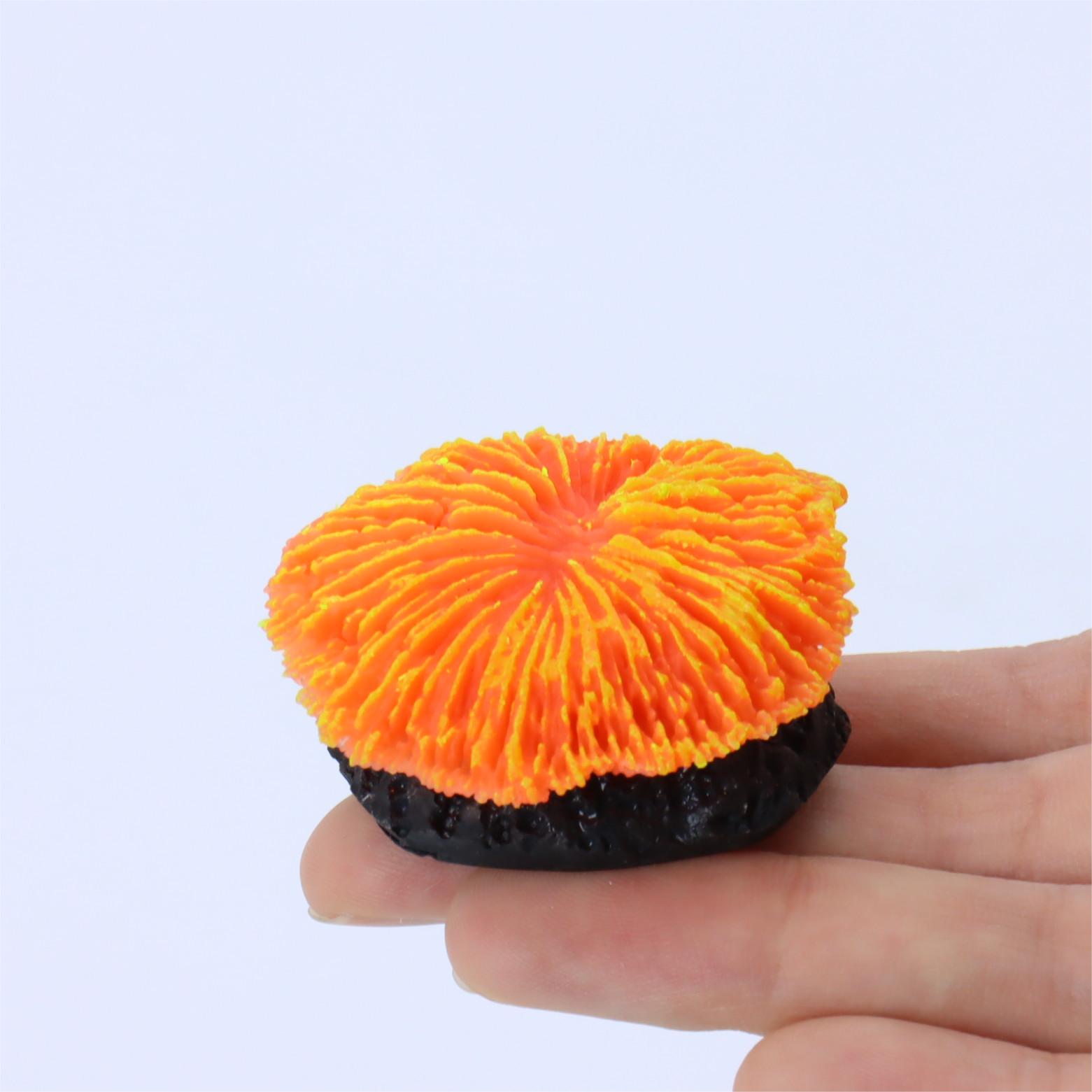 1 pièce de décoration d'aquari - Live Plant Aquarium avis et prix