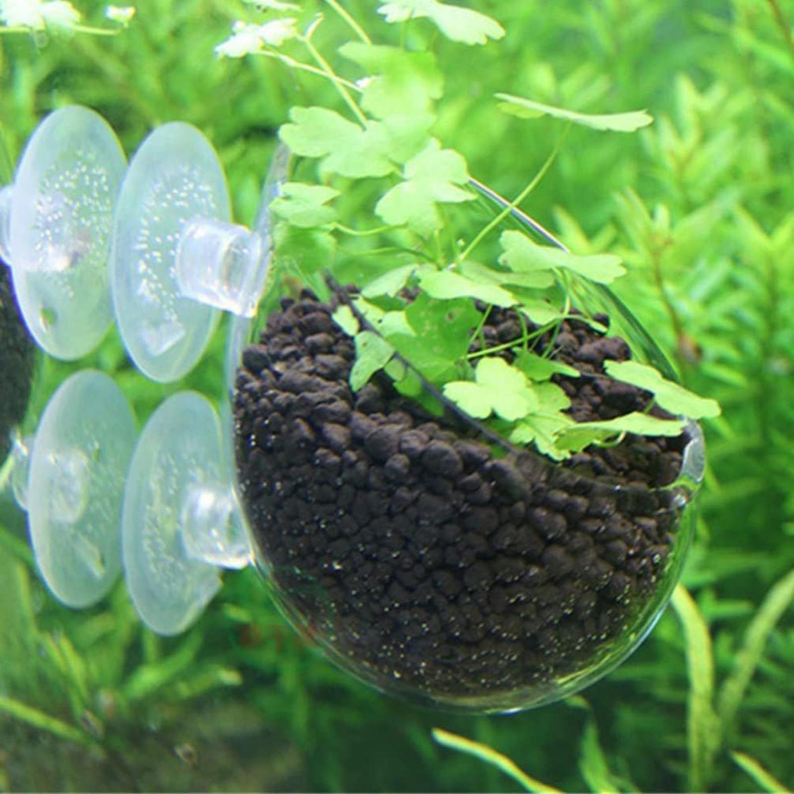 Support pour plantes d'aquariu - Live Plant Aquarium avis et prix