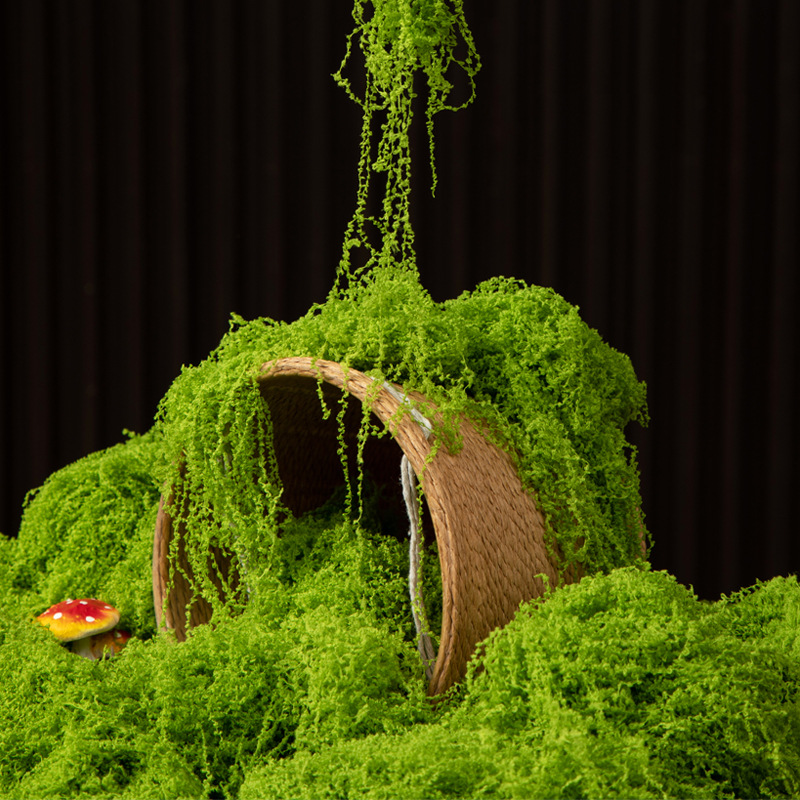 200g de mousse éternelle pour  - Aquarium Moss avis et prix