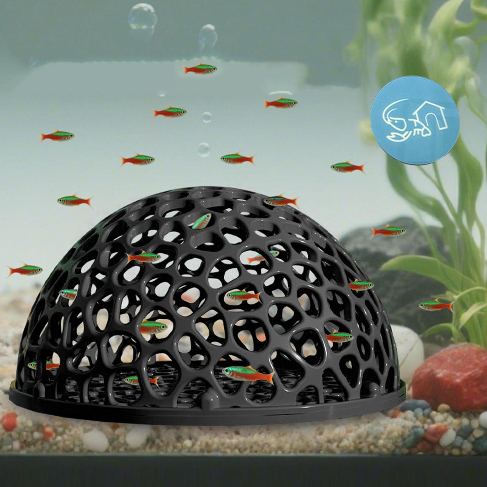 Abri de grotte pour Aquarium,  - Aquarium Plants Live avis et prix