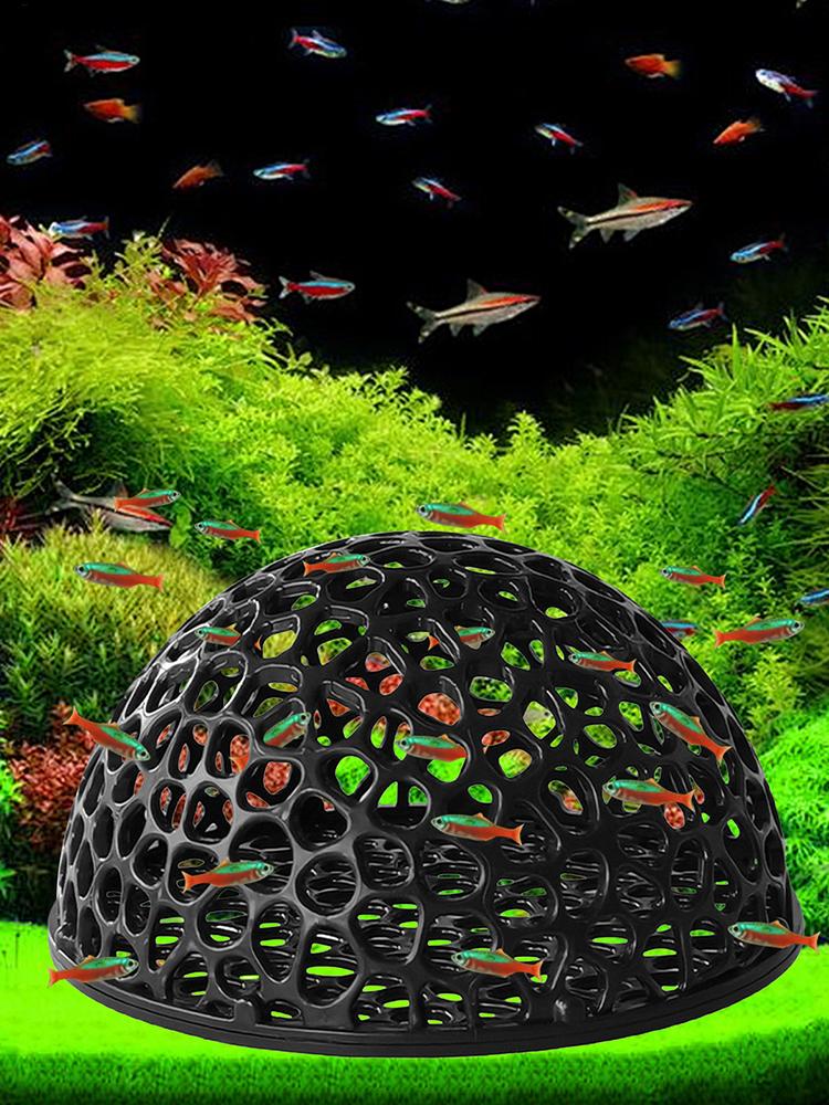 Abri de grotte pour Aquarium,  - Aquarium Plants Live avis et prix
