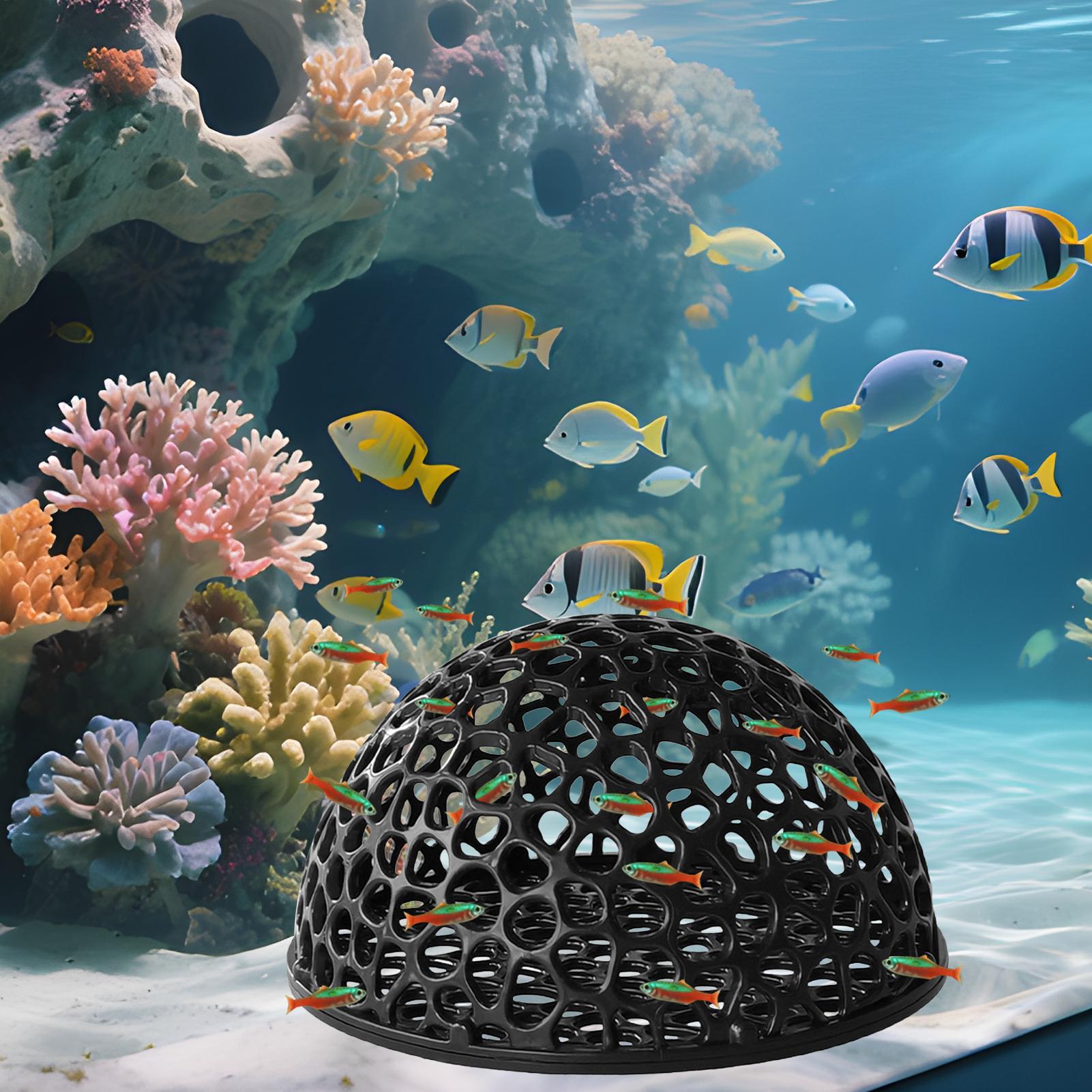 Abri de grotte pour Aquarium,  - Aquarium Plants Live avis et prix