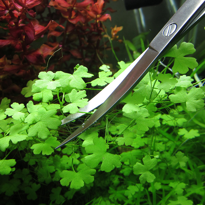 Accessoires d'aquarium en acie - Planted Aquarium Cleaning avis et prix