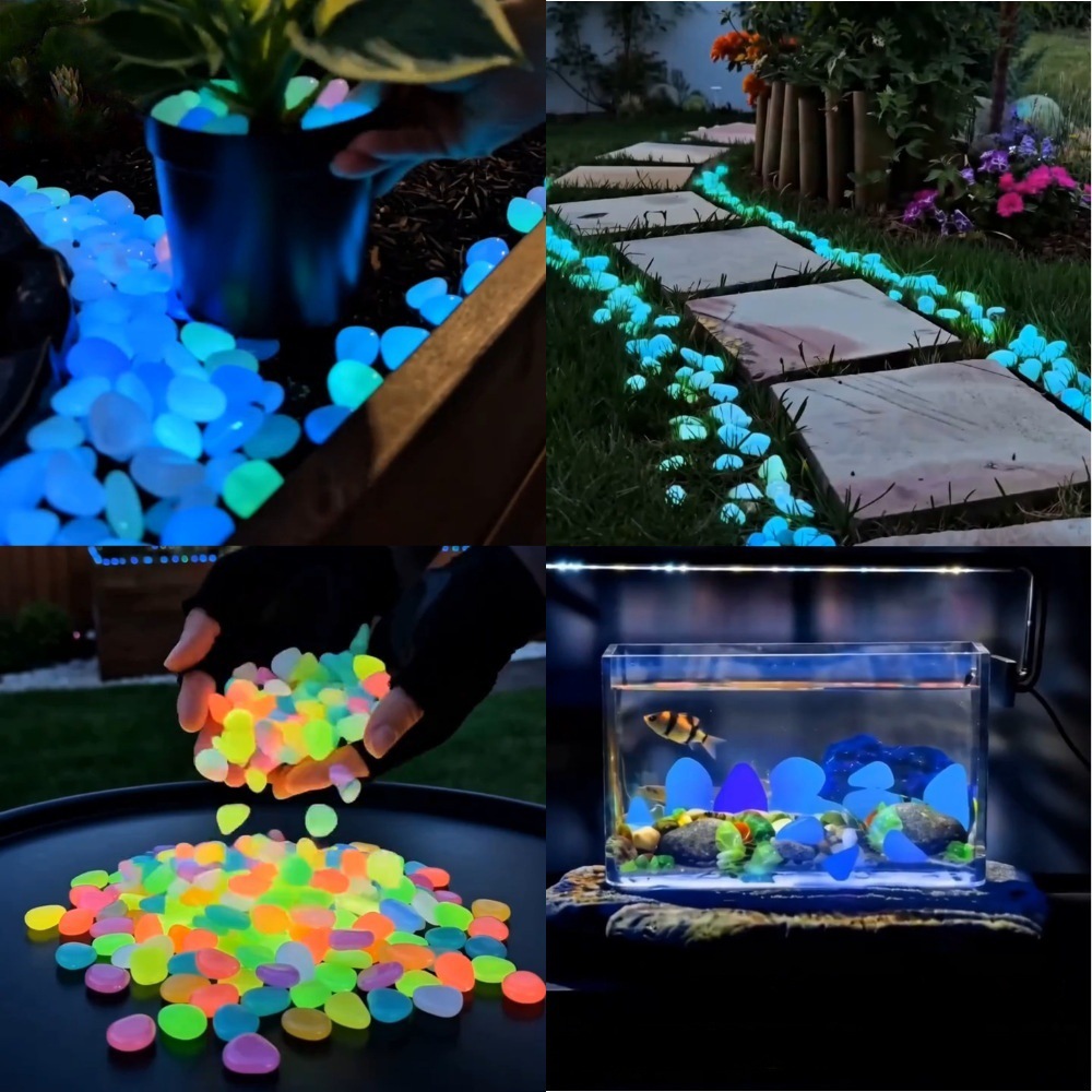 Galets lumineux colorés qui br - Plant Aquarium Pot avis et prix