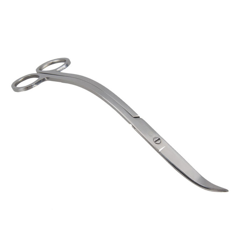 Outils de ciseaux d'aquarium,  - Aquarium Plant Holder avis et prix