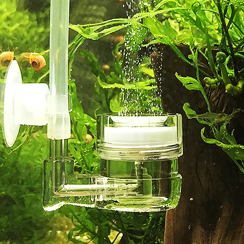 Diffuseur de CO2 4 en 1 pour A - Live Plant Aquarium avis et prix