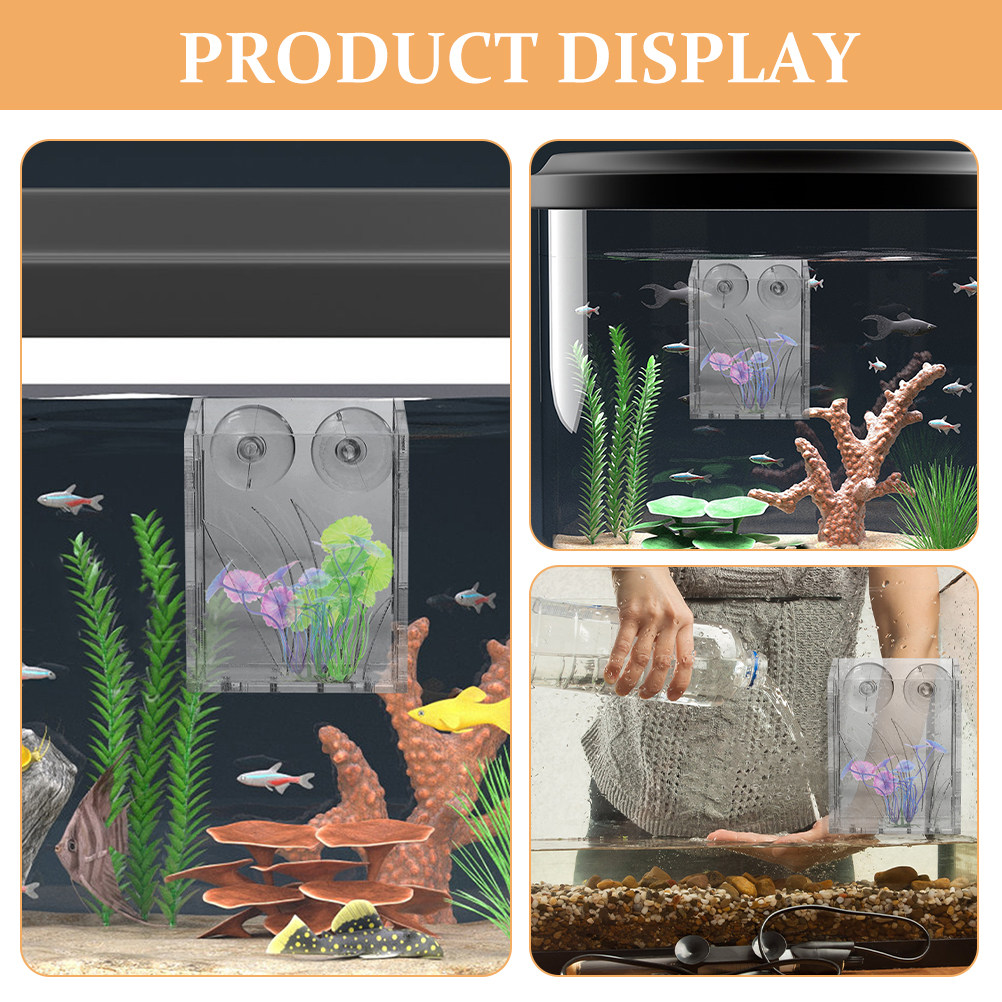 3 pièces, supports pour plante - Aquarium Plant Holder avis et prix