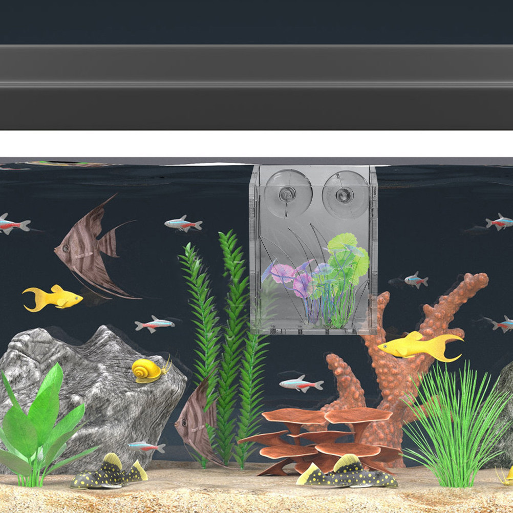 3 pièces, supports pour plante - Aquarium Plant Holder avis et prix