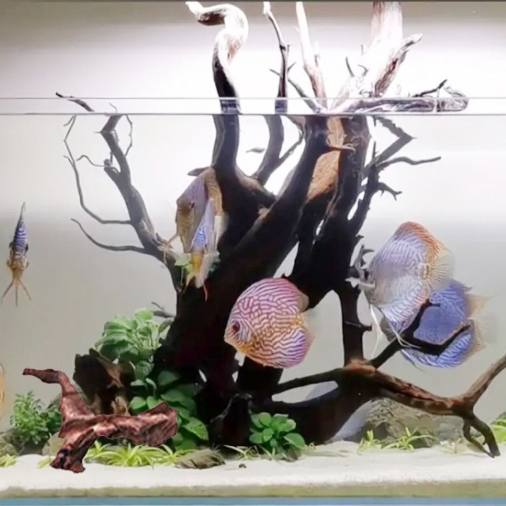 Tronc de bois flotté naturel e - Aquarium Driftwood avis et prix