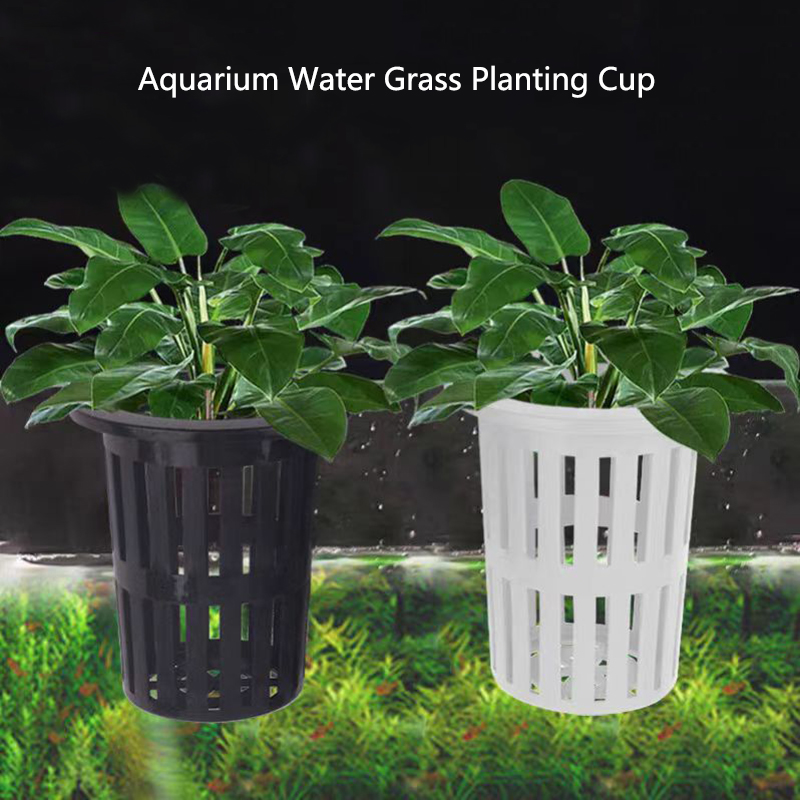 Panier de plantes d'aquarium,  - Aquarium Plants Live avis et prix