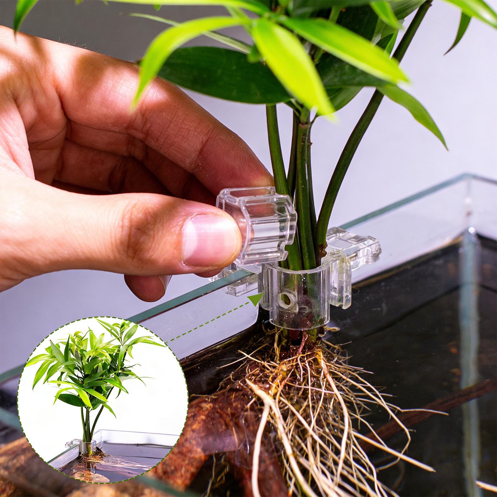 6 supports de plantes pour aqu - Aquarium Plants Live avis et prix