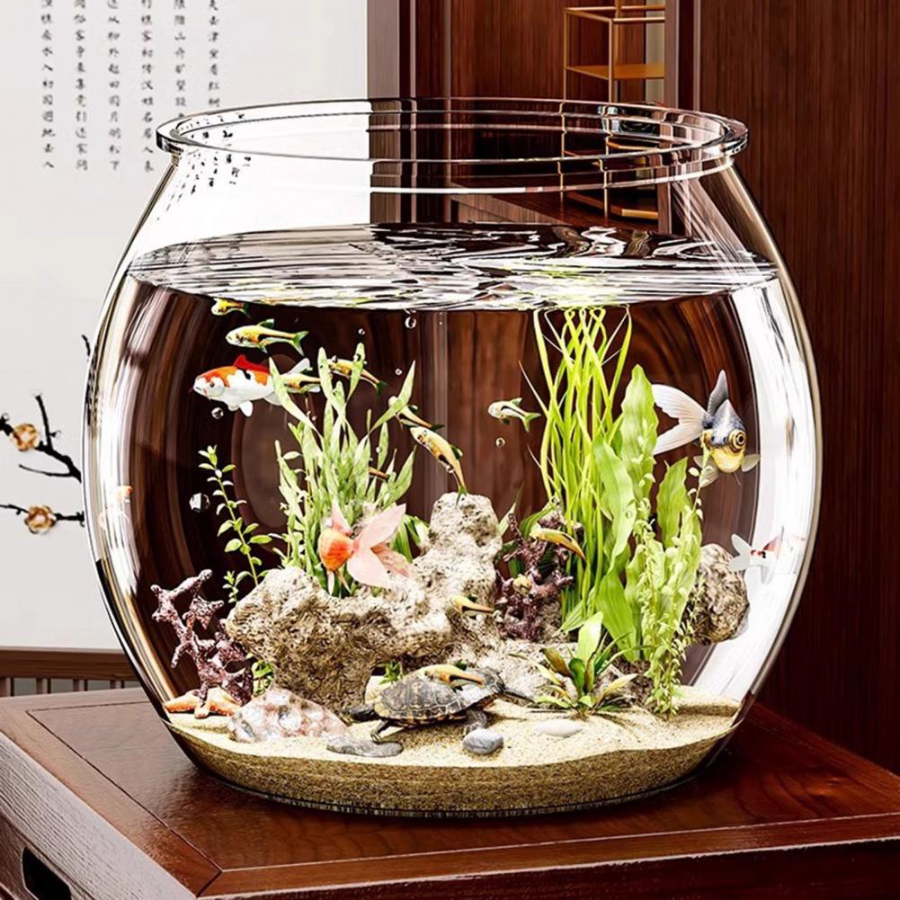 Bol à poisson rond en plastiqu - Plant Aquarium Pot avis et prix