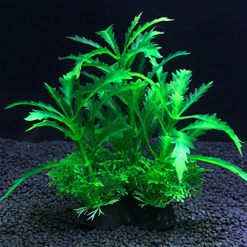 Aquarium artificiel décor plan - Live Plant Aquarium avis et prix