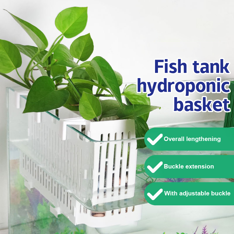 【F】Support suspendu pour aquar - Aquarium Plant Holder avis et prix