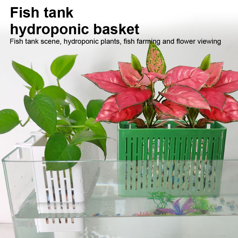 【F】Support suspendu pour aquar - Aquarium Plant Holder avis et prix
