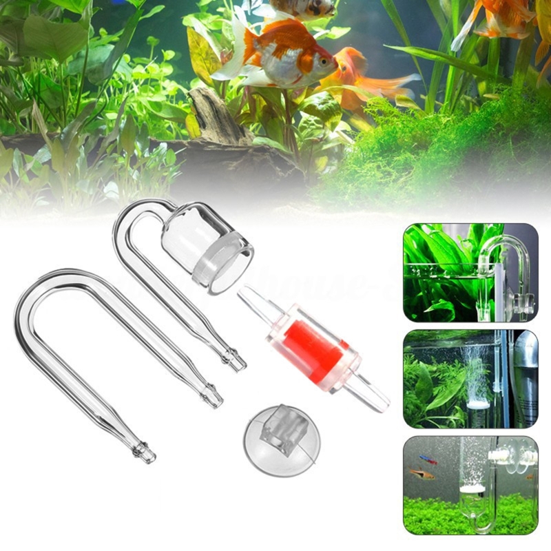 Diffuseur de CO2 pour aquarium - Live Plant Aquarium avis et prix