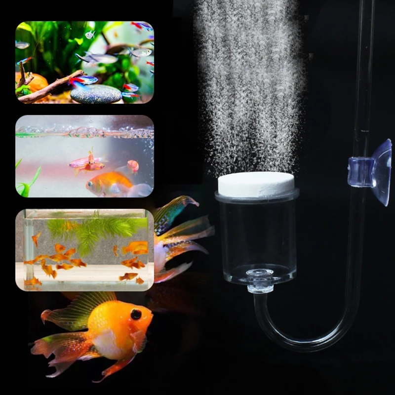 Diffuseur de CO2 pour aquarium - Live Plant Aquarium avis et prix